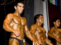 body2011_15
