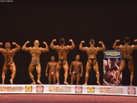 49th_asian_bodybuilding_and_physique_championships_in_tashkent_2015_day-3st_semifinals_02_oct_00059