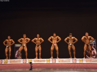 49th_asian_bodybuilding_and_physique_championships_in_tashkent_2015_day-3st_semifinals_02_oct_00121