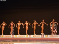 49th_asian_bodybuilding_and_physique_championships_in_tashkent_2015_day-3st_semifinals_02_oct_00274