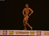49th_asian_bodybuilding_and_physique_championships_in_tashkent_2015_day-3st_semifinals_02_oct_00414