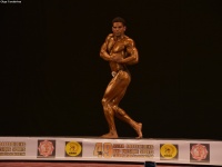 49th_asian_bodybuilding_and_physique_championships_in_tashkent_2015_day-3st_semifinals_02_oct_00416