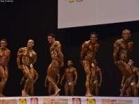 49th_asian_bodybuilding_and_physique_championships_in_tashkent_2015_day-4st_semifinals_03_oct_00073