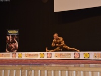 49th_asian_bodybuilding_and_physique_championships_in_tashkent_2015_day-4st_semifinals_03_oct_00433