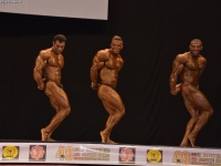 49th_asian_bodybuilding_and_physique_championships_in_tashkent_2015_day-5st_finals_and_farewell_party_04_oct_00277