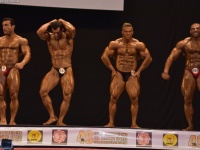 49th_asian_bodybuilding_and_physique_championships_in_tashkent_2015_day-5st_finals_and_farewell_party_04_oct_00280
