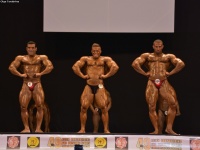 49th_asian_bodybuilding_and_physique_championships_in_tashkent_2015_day-5st_finals_and_farewell_party_04_oct_00283
