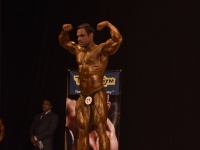 49th_asian_bodybuilding_and_physique_championships_in_tashkent_2015_day-5st_finals_and_farewell_party_04_oct_00489