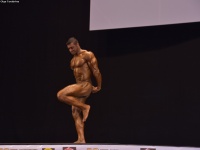49th_asian_bodybuilding_and_physique_championships_in_tashkent_2015_day-5st_finals_and_farewell_party_04_oct_00761