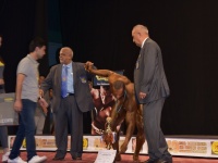 49th_asian_bodybuilding_and_physique_championships_in_tashkent_2015_day-5st_finals_and_farewell_party_04_oct_00872
