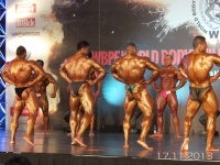 5th-wbpf-world-bodybuilding-physique-sports-championships-2013_49