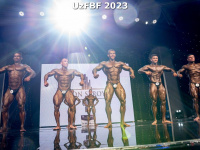 proform-classic-bodybuilding-2023-uzfbf_00028