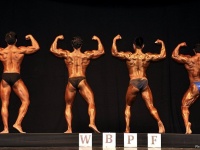 uzbekistan-bodybuilding-championships-2013_442