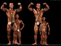 championship_uzbekistan_on_bodybuilding_and_fitness_2014_wbpf_134