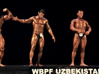 championship_uzbekistan_on_bodybuilding_and_fitness_2014_wbpf_224