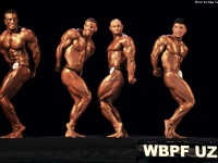 championship_uzbekistan_on_bodybuilding_and_fitness_2014_wbpf_328