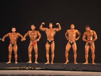 tashkent_bodybuilding_cup_2015_348
