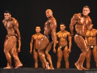 tashkent_bodybuilding_cup_2015_379