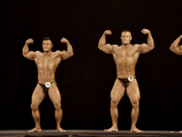 uzfbf_uzbekistan_cup_2016_bodybuilding_and_fitness_0198