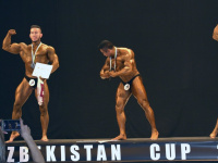 uazbekistan-cup-bodybuilding-and-fitness-championship-2017_0230