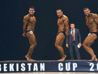uazbekistan-cup-bodybuilding-and-fitness-championship-2017_0252