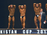 uazbekistan-cup-bodybuilding-and-fitness-championship-2017_0253