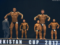 uazbekistan-cup-bodybuilding-and-fitness-championship-2017_0254