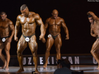 uazbekistan-cup-bodybuilding-and-fitness-championship-2017_0360