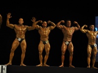 proform-classic-bodybuilding-show124