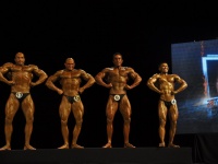 proform-classic-bodybuilding-show125