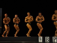 proform-classic-bodybuilding-show128