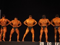 proform-classic-bodybuilding-show134