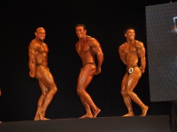 proform-classic-bodybuilding-show135