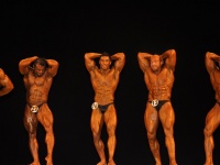 proform-classic-bodybuilding-show141