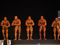 proform-classic-bodybuilding-show144