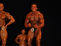 proform-classic-bodybuilding-show154