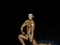 proform-classic-bodybuilding-show163