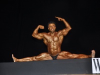 proform-classic-bodybuilding-show229