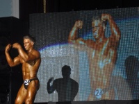 proform-classic-bodybuilding-show248