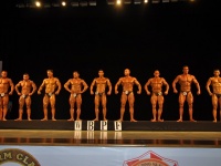 proform-classic-bodybuilding-show271