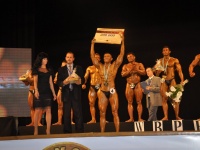 proform-classic-bodybuilding-show280