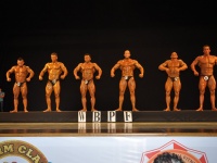 proform-classic-bodybuilding-show282