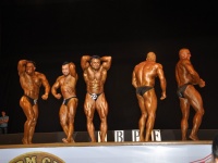 proform-classic-bodybuilding-show289