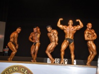 proform-classic-bodybuilding-show290