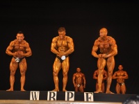 proform-classic-bodybuilding-show301