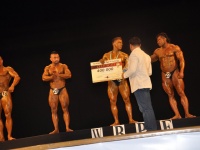 proform-classic-bodybuilding-show308