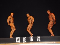 proform-classic-bodybuilding-show335