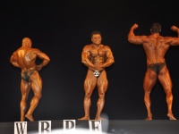 proform-classic-bodybuilding-show377