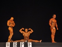 proform-classic-bodybuilding-show380