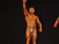 proform-classic-bodybuilding-show407